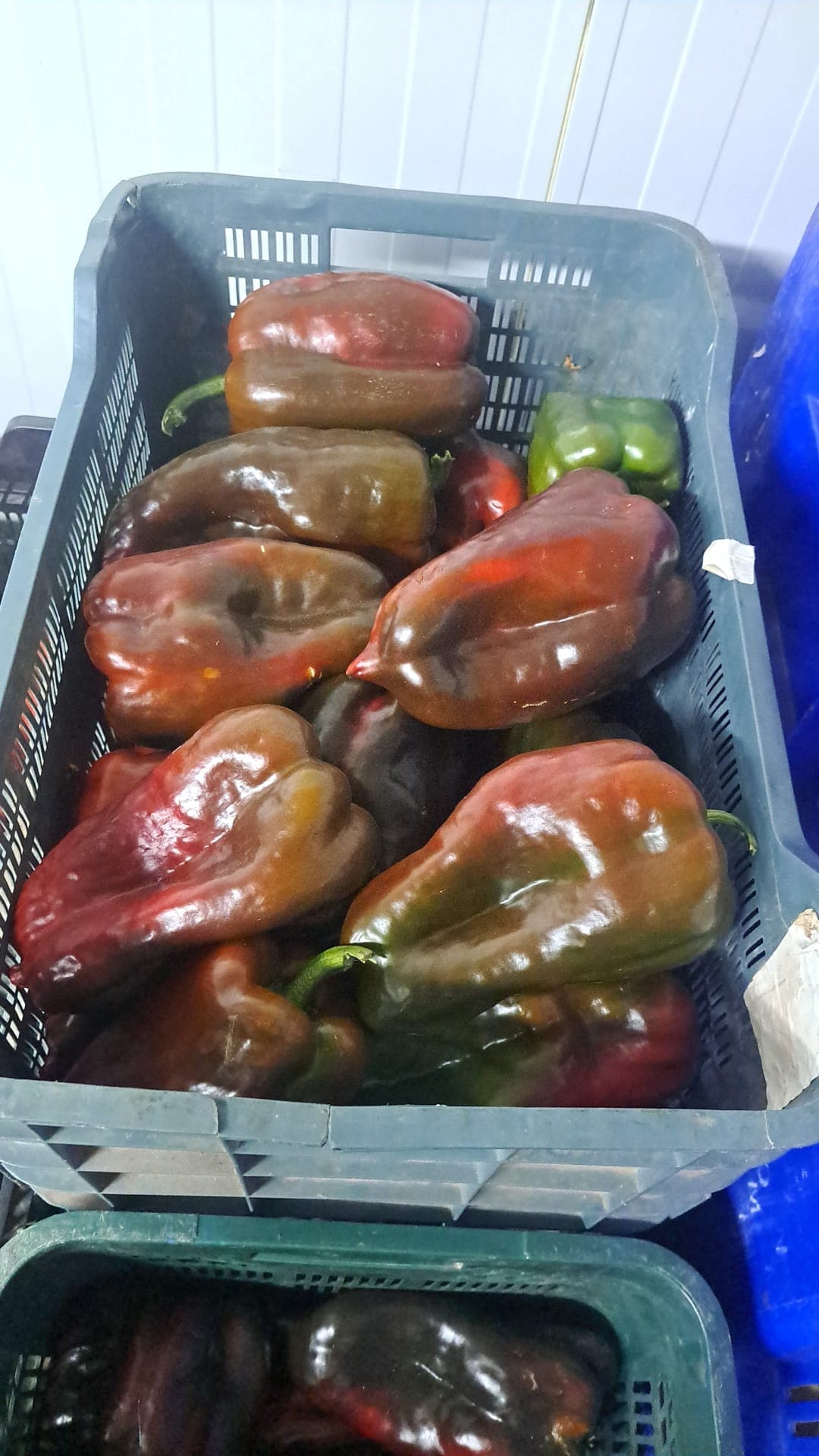 Producto fresco Don Remondo 2