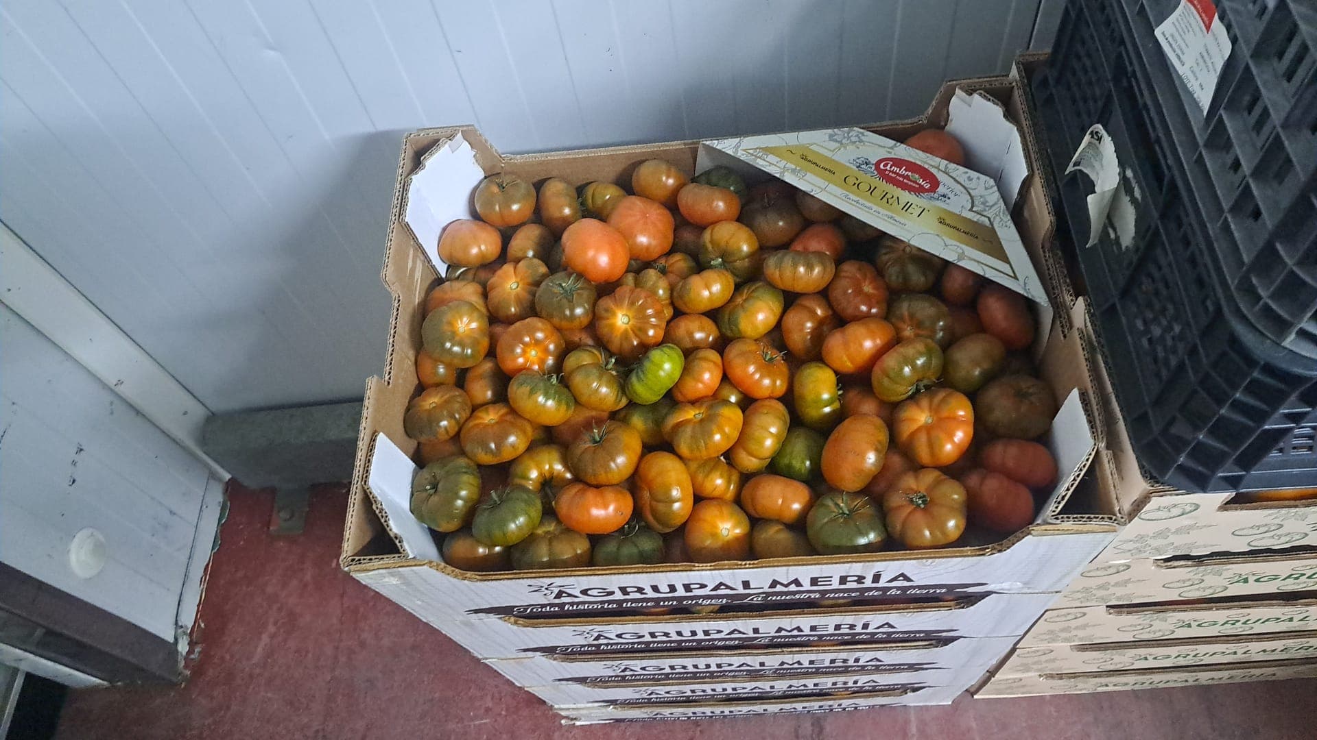 Producto fresco Don Remondo 8